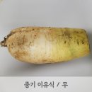 모도리베이비 이미지