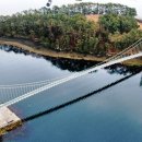 칠천도편백숲 이미지