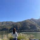 골든트리 이미지