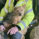 견생공감 이미지