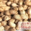 땅콩 연구소