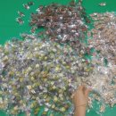 일등태권도장 이미지