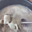 별내옥설농탕 | 맛있어서 한 달 만에 충북혁신도시 별내옥 설농탕 또 방문한 후기(내돈내산)
