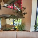 할리스은파유원지DI점 | 군산 은파유원지 카페 "할리스 군산은파유원지DI점"