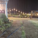 오리장군 이미지