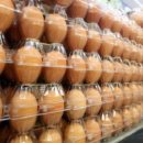 우리계란마트 이미지