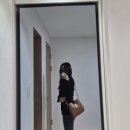 셀린느 까미유 백 스몰 탠컬러 후기 상세리뷰 ( 시부모님 선물)