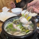 돌산아나고 이미지