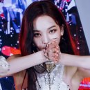 세비지(SAVAGE)