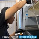 제주에닥