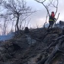 목소리 농로 이미지