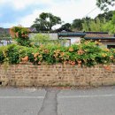 매원2리마을회관 이미지