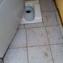 동안보건소 화장실 이미지