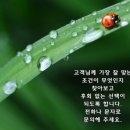 올레앤(N) 네이버블로그