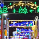 광복로겨울빛트리축제 이미지