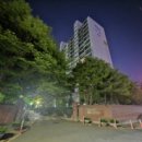 경수대로1244번길 이미지