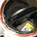 전.금강카크리닉 이미지