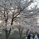 반찬세상 - 남양주시 진건오남로 629-1 | 반찬세상
