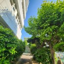 부산동중학교 이미지