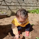 반송1동-6 이미지