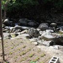 청정농장 이미지