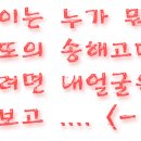 일루언 이미지