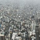 초지로1 이미지