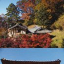 촉촉이네 이미지