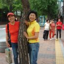 시민합창 페스티벌 이미지