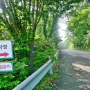 원주굽이길 17코스 동화마을진달래길 이미지