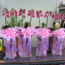 대구동부초등학교 이미지