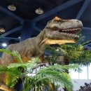 미호박물관 이미지