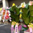 축협 맞은편 이미지