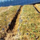 황산농장 이미지