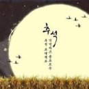 천수향