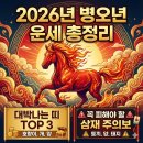 승진운수(합) | 2026년 병오년 운세 총정리: 대박나는 띠 TOP 3와 꼭 피해야 할 삼재 주의보