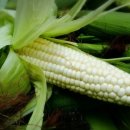 답십리4 이미지