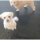 데이두케어 이미지