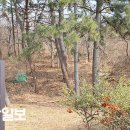 울산 매곡동 생활유적 이미지