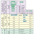 중앙영재보육원 | 프랑스의 교육