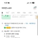 비비안느431(VIVIANNE431)