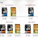 봄이네 애견 이미지