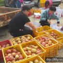 낭산농장 이미지