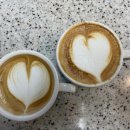 더블유바리스타 이미지