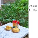 무지개목욕탕 | 푸릇푸릇 양주 식물원카페 도아시스 봄분위기 나요 (목욕탕의 재탄생)