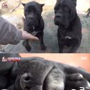 안방농장2 이미지