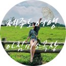 동건 목장 | 스냅촬영지라네요! 제주 아침미소목장