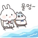 서천하늘아래펜션 이미지