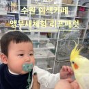 경기도 수원시 권선구 세지로94번길 7-14 (권선동) | 🌻이색카페 추천, 앵무새와 함께 &#39;리프패럿 권선점&#39; 후기 (실내데이트, 아이와 가볼 만한 곳, 체험후기...