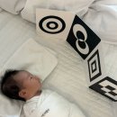 이룸바디스튜디오 | (육아템) 신생아 수면템 7종 내돈내산 리뷰